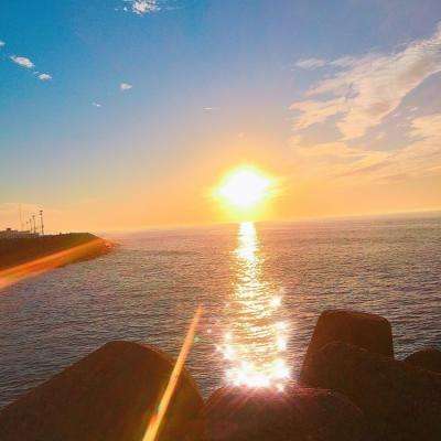 炼爱手游免费下载