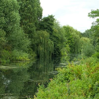 188BET官网中国官方网站